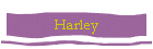 Harley