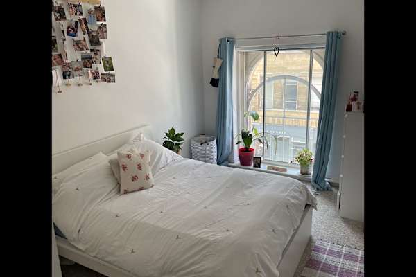 House sit in Bristol, United Kingdom